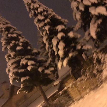 Apartman Milica Kremna エクステリア 写真
