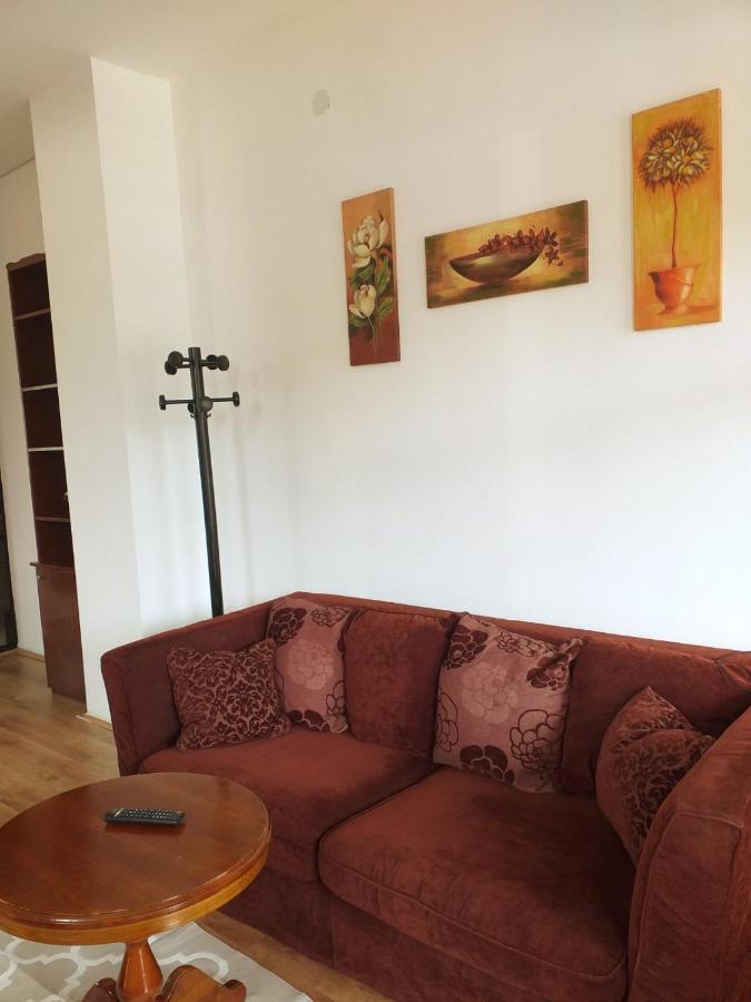 Apartman Milica Kremna エクステリア 写真
