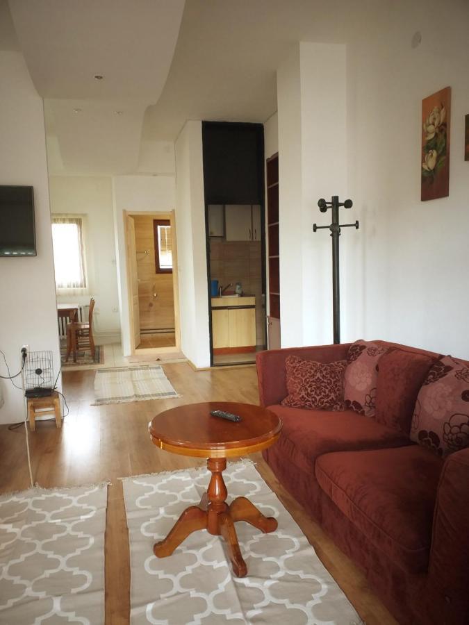 Apartman Milica Kremna エクステリア 写真
