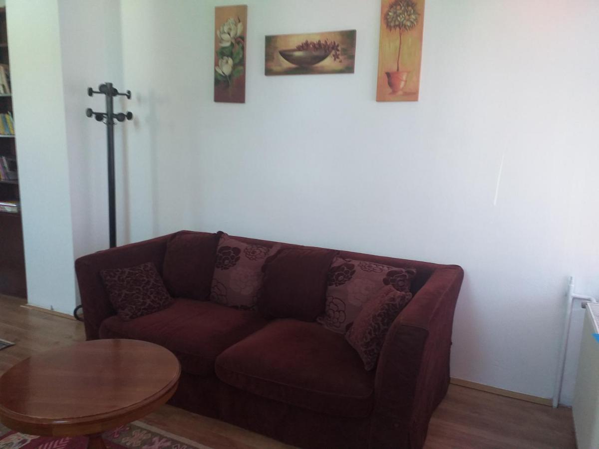 Apartman Milica Kremna エクステリア 写真
