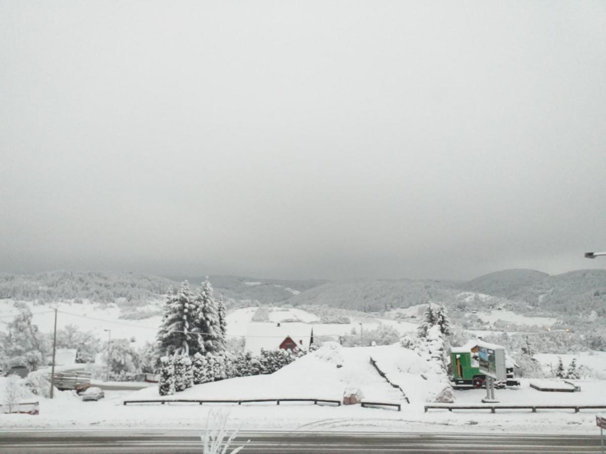 Apartman Milica Kremna エクステリア 写真