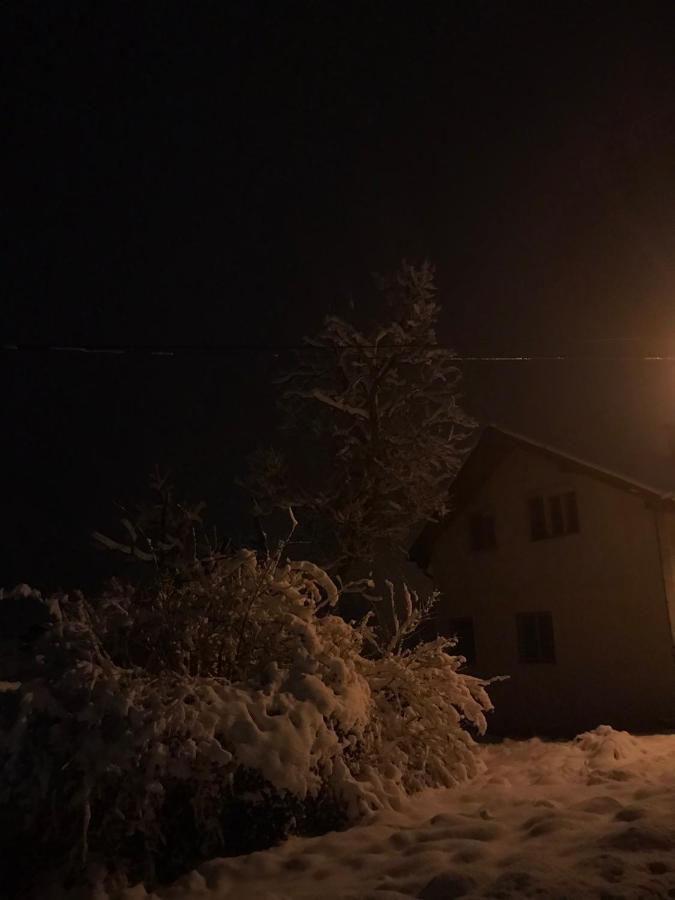 Apartman Milica Kremna エクステリア 写真
